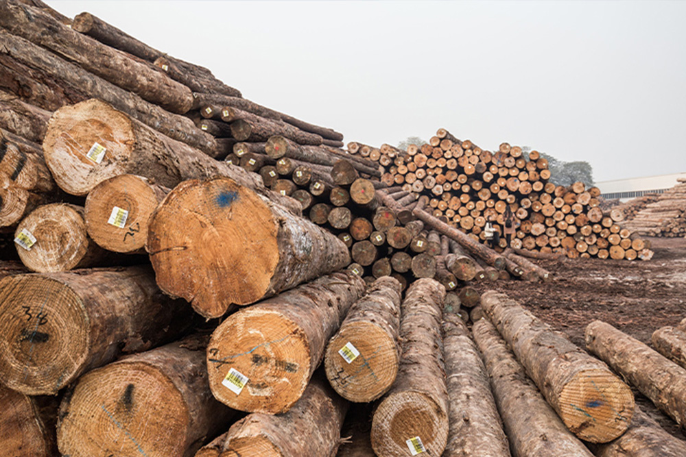 木材处理厂案例